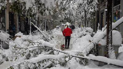 EL TEMPORAL DE NIEVE Y LOS SEGUROS EL TEMPORAL DE NIEVE Y LOS SEGUROS
