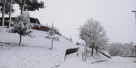 HA NEVADO HA NEVADO