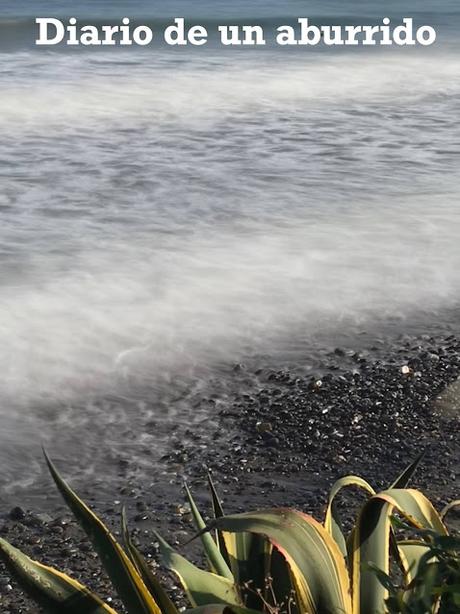 Adiós 2020. Hola 2021 Adiós 2020. Hola 2021