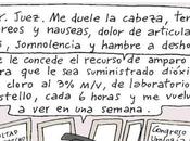 Pandemia, Infodemia Sindemia