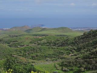 Las huellas de Filomena