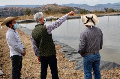 TRABAJA EDOMÉX PARA QUE EL CAMPO MEXIQUENSE SEA MÁS PRODUCTIVO: ALFREDO DEL MAZO