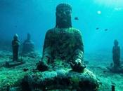 Invitación Zazenkai enero 2021. Perla Brillante