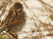 Espectáculos cercanos