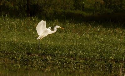 ESPECTÁCULOS CERCANOS
