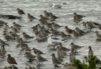ESPECTÁCULOS CERCANOS