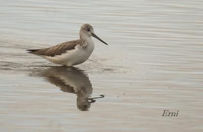 ESPECTÁCULOS CERCANOS