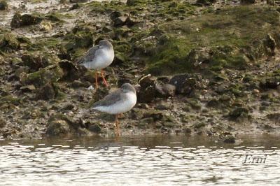 ESPECTÁCULOS CERCANOS