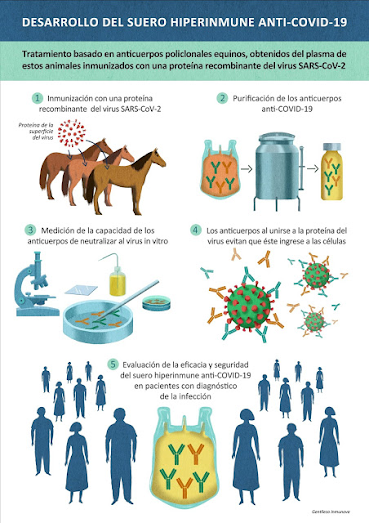 Información sobre el suero equino hiperinmune aprobado por la ANMAT