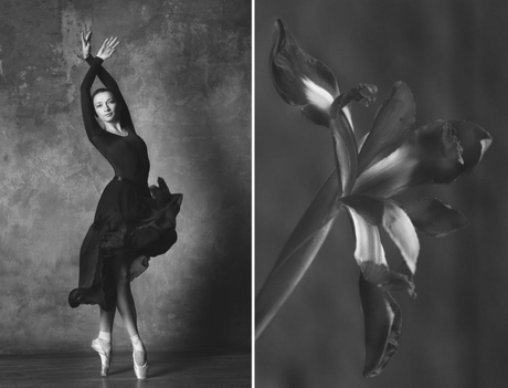 Bailarinas versus flores Bailarinas versus flores