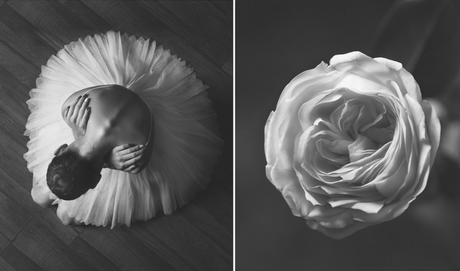Bailarinas versus flores