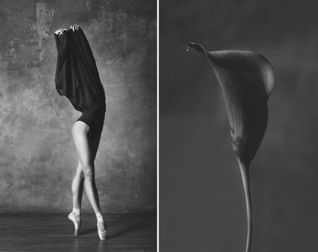 Bailarinas versus flores