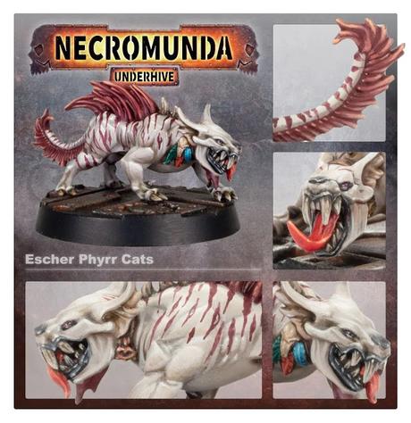 Pre-pedidos accidentados en FW esta semana: Contekar y Phyrr