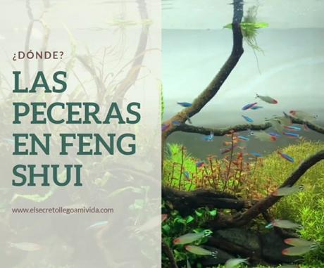 Pecera y Feng Shui Pecera y Feng Shui