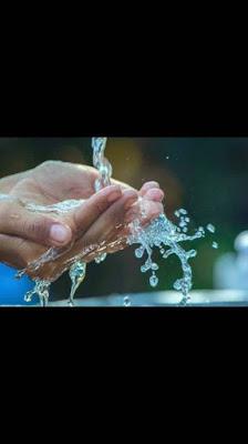 La ultraderecha estadounidense en la era de Trump.