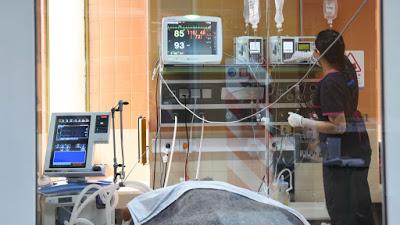 Terapistas de Neuquén: 