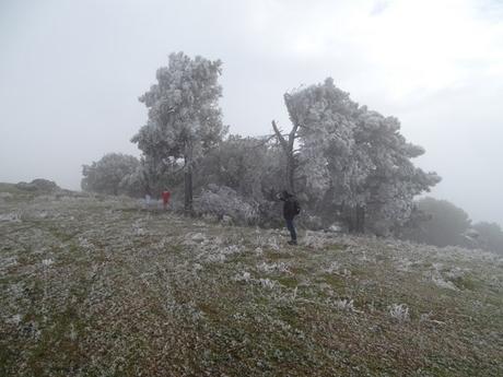 El Monasterio de Tentudía bajo la nieve, una curiosa visita.