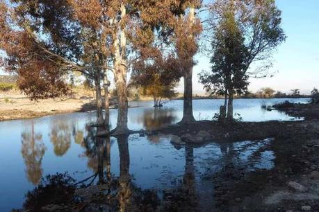 Paloma Aguilar se pronuncia a favor de defender La Sierra de San Miguelito