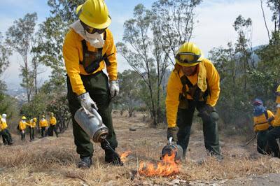 DISMINUYEN INCENDIOS FORESTALES POR SEGUNDO AÑO CONSECUTIVO EN ÁREAS NATURALES PROTEGIDAS DEL EDOMÉX