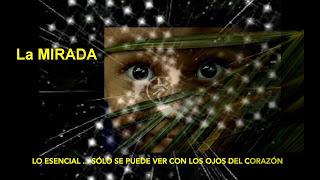 La mirada del Corazón La mirada del Corazón