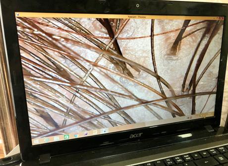 La solución para un cabello fuerte y sano: los exfoliantes capilares La solución para un cabello fuerte y sano: los exfoliantes capilares