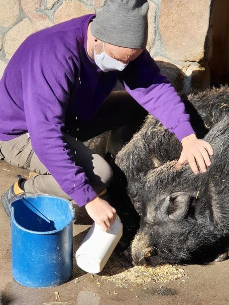 Las Granjas Escuelas de la Comunidad de Madrid (AGECAM), al borde de la quiebra por la pandemia 