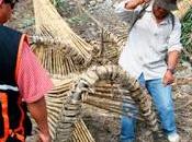 Destruyen cestos para caza ilegal camarones cañete…