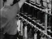 Contra civilización productivista, anarco-primitivismo