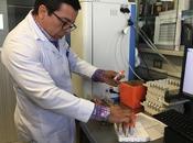 Refuerza issemym acciones para prevenir dengue