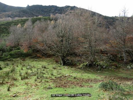 Caleao-La Cerveriza-Cortegueru-Los Arrudos