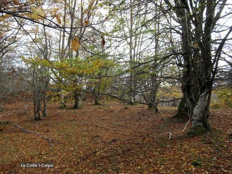 Caleao-La Cerveriza-Cortegueru-Los Arrudos