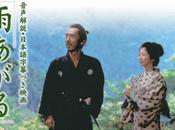 DESPUÉS LLUVIA Takashi Koizumi