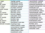 Como describir persona inglés