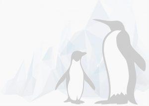 ¡Apadrina un pingüino! | Compromiso con el Medio Ambiente