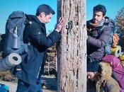 serie caminos rodada largo Camino Santiago, puede Prime Vídeo