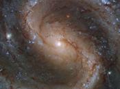 4535: “Galaxia Perdida”