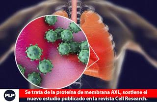 VIRUS DEL COVID-19 NO SE DUERME Y EVOLUCIONA…