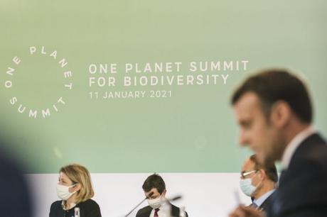Cumbre One Planet: nuevas metas para proteger la biodiversidad hacia el 2030 por Yvette Sierra Praeli en 20 enero 2021