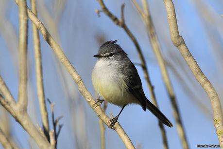 La Noria - Berra (agosto 2020)