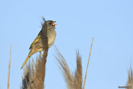 La Noria - Berra (agosto 2020)