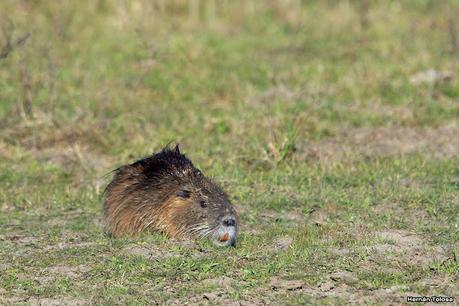 La Noria - Berra (agosto 2020)