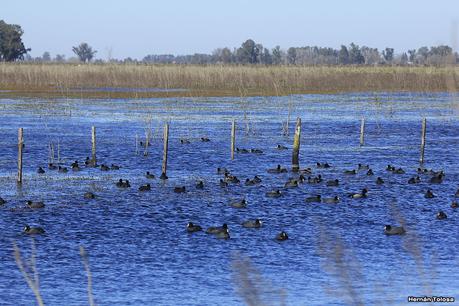 La Noria - Berra (agosto 2020)