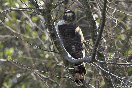 La Noria - Berra (agosto 2020)