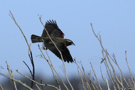 La Noria - Berra (agosto 2020)