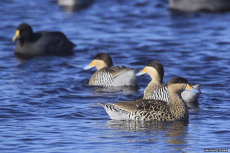 La Noria - Berra (agosto 2020)