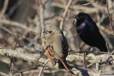 La Noria - Berra (agosto 2020)