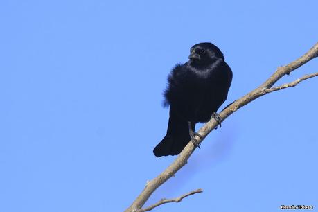 La Noria - Berra (agosto 2020)