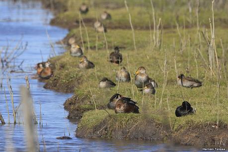La Noria - Berra (agosto 2020)
