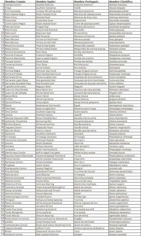 La Noria - Berra (agosto 2020)