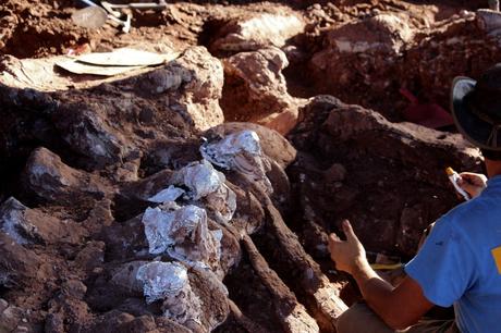 Argentina: científicos descubren el dinosaurio más grande hasta ahora